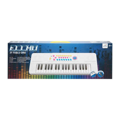 01946 Sunman-Eccho, orgue électronique avec microphone 37 touches