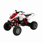 Nessiworld 1:12 Yamaha Raptor 660 R 2005 Atv Model Motor