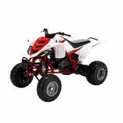 Nessiworld 1:12 Yamaha Raptor 660 R 2005 Atv Model Motor