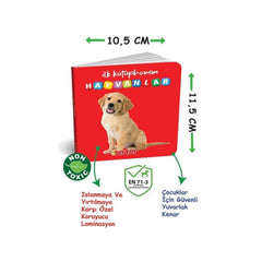 2090 Diytoy, My First Library-First Words 8-Piece Mini Book Set