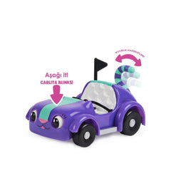 Nessiworld 6062145 Gabbys Dollhouse Pandy Paws and Carlita Car