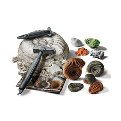 Nessiworld 64336 Science and Play - Fossils and Minerals Excavation Set