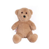 9104235 CM SALASH BEAR
