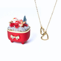 Meanyou Ebedi Noel Kutusu ve Kişiselleştirilmiş Kolye