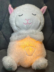 Nefes Alan Uyku Arkadaşı Kuzu