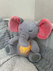 Uyku Arkadaşı Nefes Alan