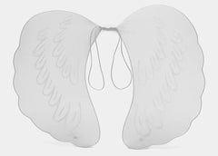 Nessiworld Beyaz Renk Ortası Beyaz Tüylü Tül Peri Kanadı 40x50 cm