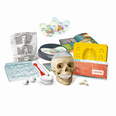 Nessiworld Science and Games Crazy Anatomy