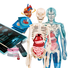 Nessiworld Science and Game Super Anatomy