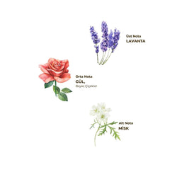 Nessiworld Eyüp Sabri Tuncer Cologne Pet Bottle Spray 150 ml Lavender