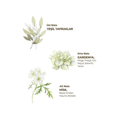 Nessiworld Eyüp Sabri Tuncer Cologne Pet Bottle Spray 150 ml Ayvalık Olive Blossom