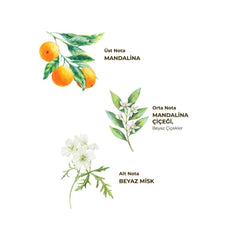 Nessiworld Eyüp Sabri Tuncer Cologne Vaporisateur en bouteille pour animaux de compagnie 150 ml Mandarine de Bodrum