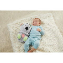 GRT59 Fisher-Price® Sleeping Companion Koala / +0
