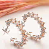 Silver Brown Stone Drop Stud Women's Earrings