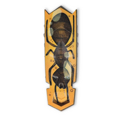 Nessiworld HexBots Nano Newton