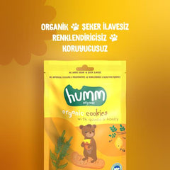 Nessiworld Humm Organic Honey and Quinoa Cookies 55 Gr
