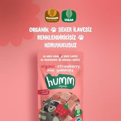 Nessiworld Humm Organic Strawberry Gluten Free Vegan Mini Cubes 30 Gr