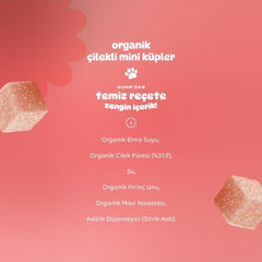 Nessiworld Humm Organic Strawberry Gluten Free Vegan Mini Cubes 30 Gr