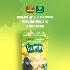 Nessiworld Humm Organic Banana Gluten Free Vegan Mini Cubes 30 Gr
