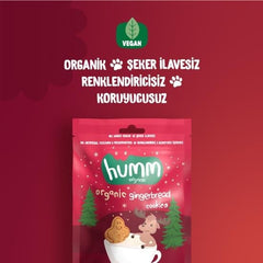 Nessiworld Humm Organic Ginger and Cinnamon Vegan Cookies 55 Gr