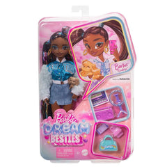 Poupées Barbie Dream Besties, personnages principaux, Brooklyn, Nessiworld HYC22