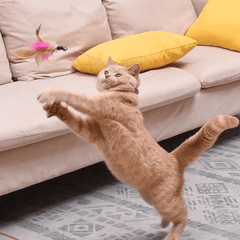 Kedi Oyuncağı Tüy Yakalık - MeanYou