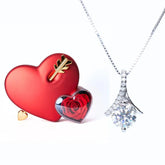 Meanyou Ebedi Aşk Kutusu & Helios Kolye - MeanYou