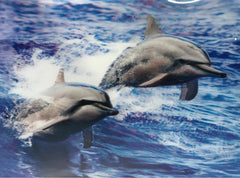 Nessiworld 5D Diamond Painting Cute Dolphins Double Dolphin Picture Painting 30x40 cm