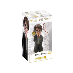 Nessiworld MNXB3000 Minix - HARRY POTTER - Koleksiyon Figürü