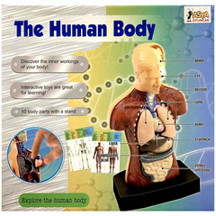 Nessiworld The Human Body Human Body 3D Education Set 3301