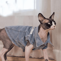 Paw Portal Denim Ceket Kedi Kıyafeti - MeanYou
