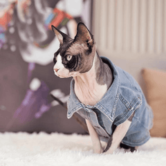 Paw Portal Denim Ceket Kedi Kıyafeti - MeanYou
