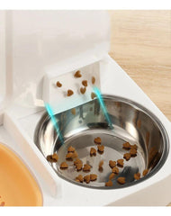 Paw Portal Evcil Hayvan Otomatik Besleyici - MeanYou