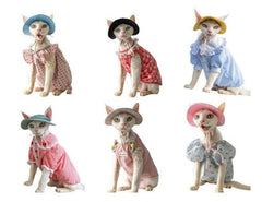 Paw Portal Güneş Koruyucu Kedi Şapkası - MeanYou