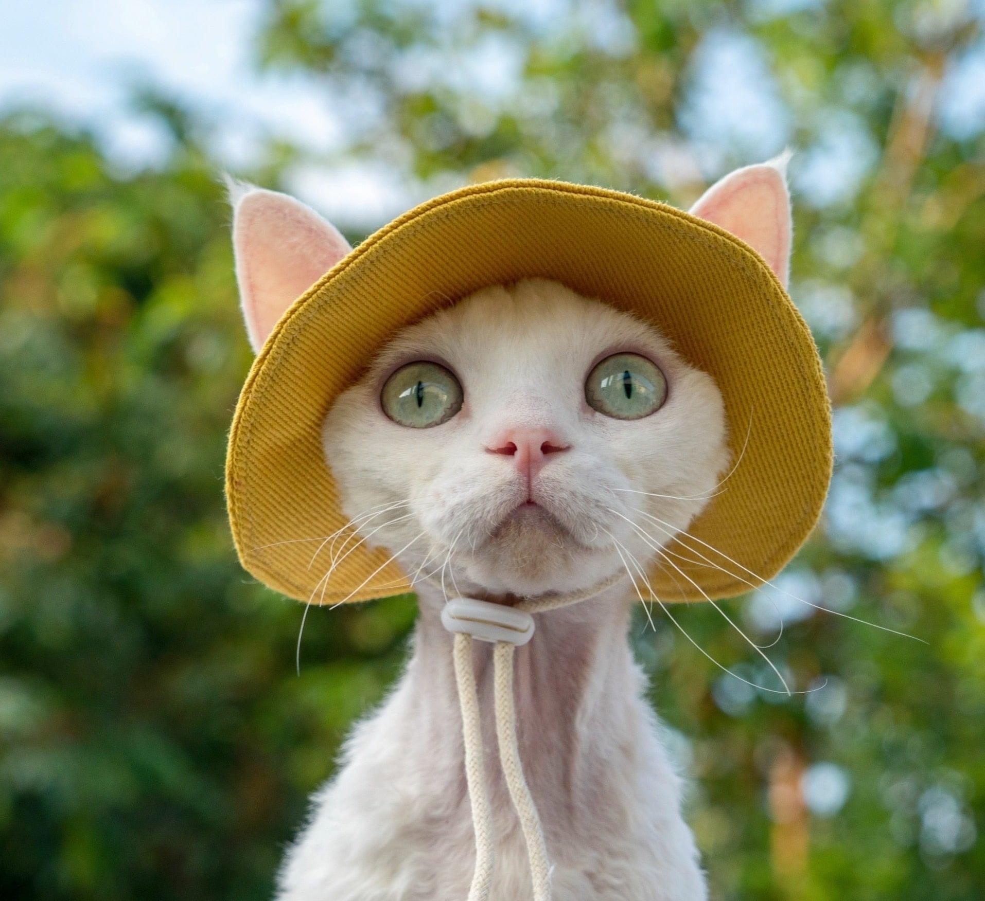 Paw Portal Güneş Koruyucu Kedi Şapkası - MeanYou