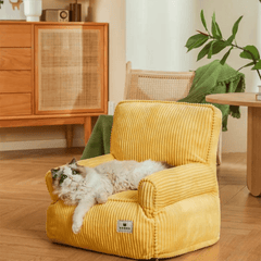 Paw Portal Kedi Divanı - MeanYou