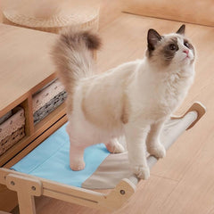 Paw Portal Kedi Hamağı - MeanYou