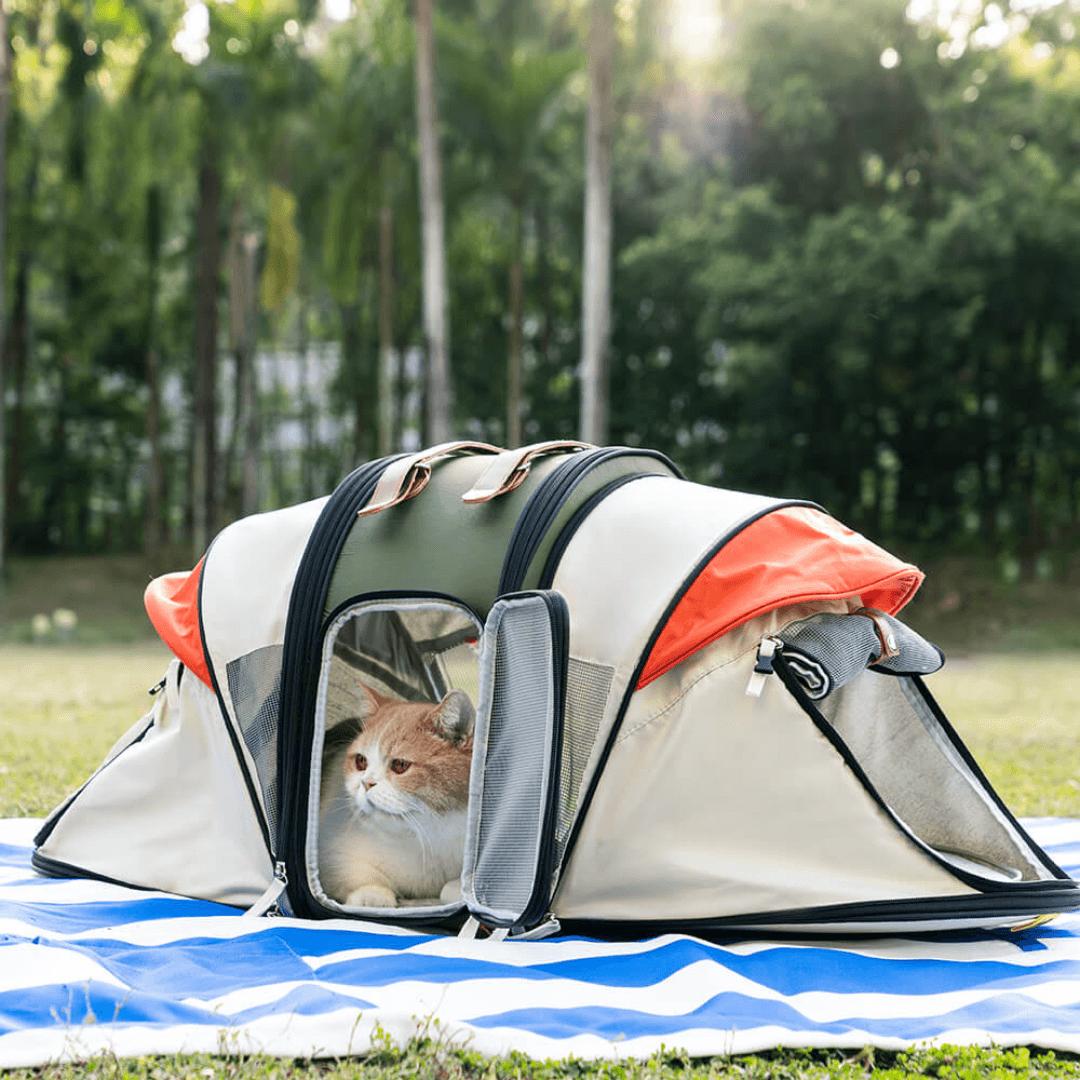 Paw Portal Kedi Köpek Açılabilir Büyük Seyahat Çantası - MeanYou