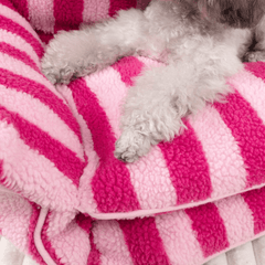 Paw Portal Kedi Köpek Koltuğu - MeanYou