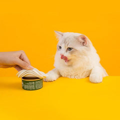 Paw Portal Konserve Açacağı & Vakumlu Koruyucu Kapak Seti - MeanYou