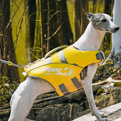 Paw Portal Köpek Can Yeleği - MeanYou