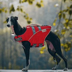 Paw Portal Köpek Can Yeleği - MeanYou