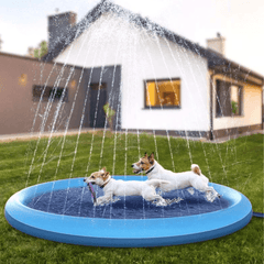 Paw Portal Köpek Oyun Havuzu - MeanYou