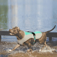 Paw Portal Köpekler İçin Soğutucu Yelek - MeanYou