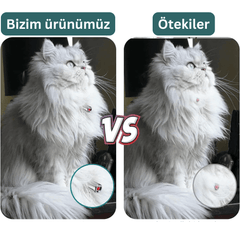 Paw Portal LED Işıklı Otomatik Kedi Oyuncağı, Lazer Işık Başlığı - MeanYou