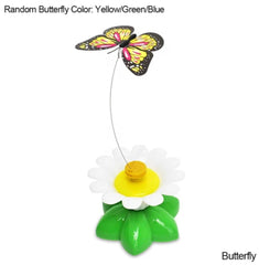 Paw Portal Otomatik Elektrikli Kedi Oyuncağı - MeanYou