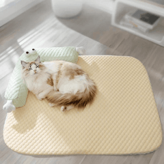 Paw Portal Soğutucu Mat - MeanYou