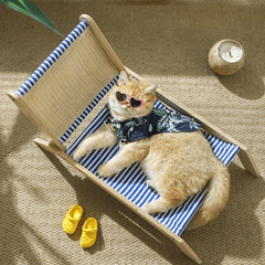 Paw Portal Tropikal Kedi Şezlongu - MeanYou