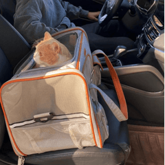 Paw Portal Uçak İçi Köpek Taşıma Çantası - MeanYou