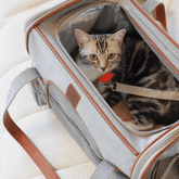 Paw Portal Uçak İçi Köpek Taşıma Çantası - MeanYou